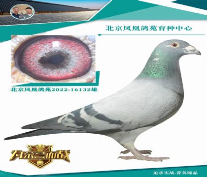 �؄eֵ���ĵ�һ�� �^������׌��ʧ����Ѫ�}