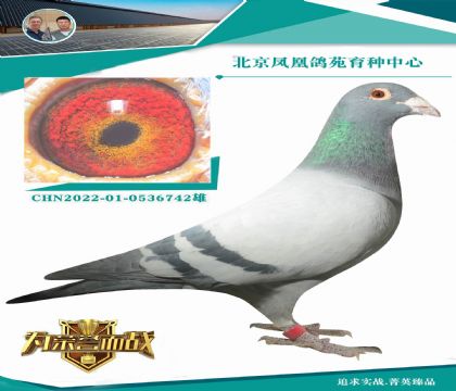 ���ᳬ���N�� ����������  ���w�ǳ��ǳ���