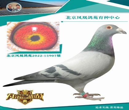 ���m����������ֱ��X��ƿˊW��ƥ�˻���ֱŮ