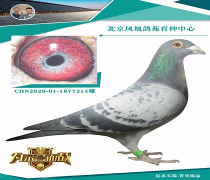 �����W003�����ؽ��H�OX�����_��X���۴ơ�Ѫϵ��ĸ