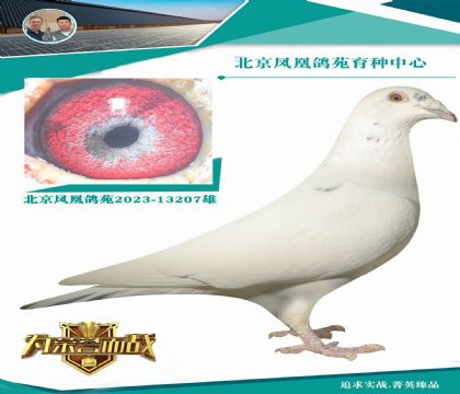 �R����.����˹����ɫ���Ρ�207