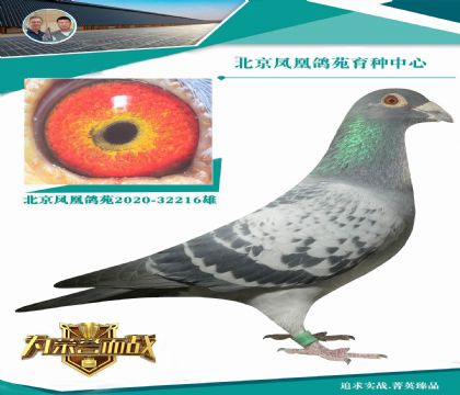 �ǳ�����(zh��n)ȫ���x��ƿ�Ѫϵ