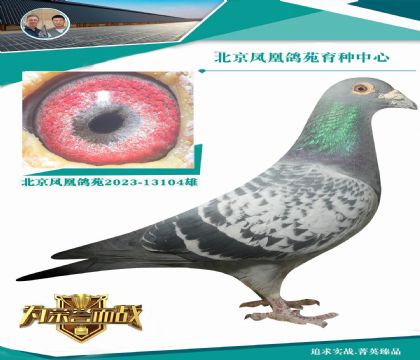 �@���䌦�ǳ����䌍��(zh��n) ղɭѪϵ�y��ϡ�� ���ՙC��