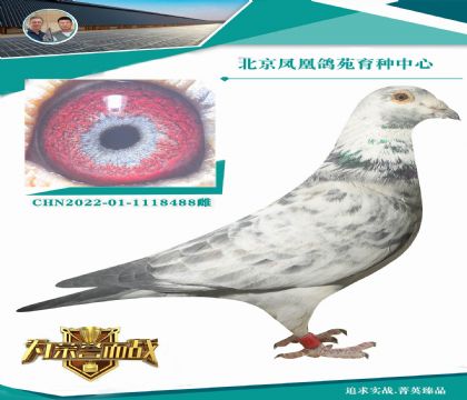 �����D�_��X��������ֱ��X���ٶȻ���ȫ����