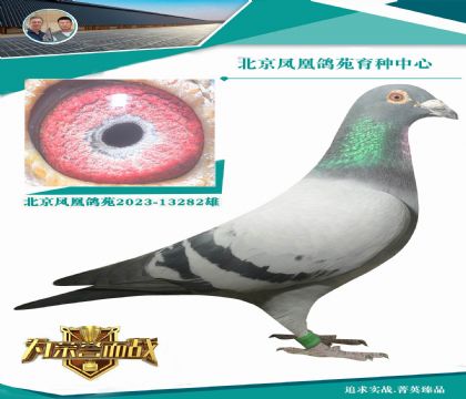 �^�����W ������˼�h���W��X����䌦ֱŮ