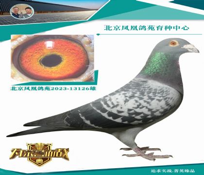 �W��ƥ�����m��ֱ��X���r��911ȫ��