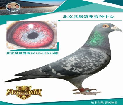 �ش�ꖱ˵�����˹740ֱ��Xղ��˹802ֱ�OŮ