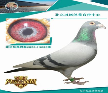 ����ƽ݅����20���܊ǰʮ�� ����������˹��X���W��ƥ��00