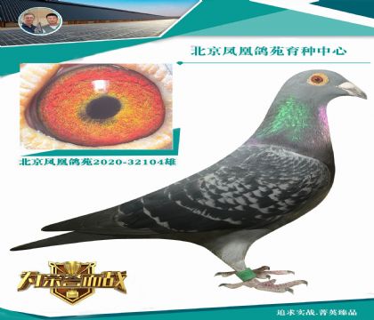 ƽ݅��ɽ���������P����5λ ���\�������P������܊ �������ܴ�