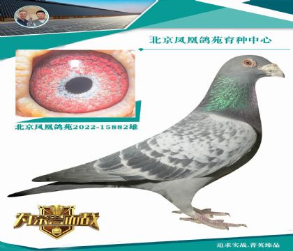 �����_��X���۴ơ����ؽ��H �^�����ٶ����� ��Ʒ�еĘOƷ