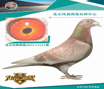 ���Qȫ������õ����� 09���������� ����ֱ��