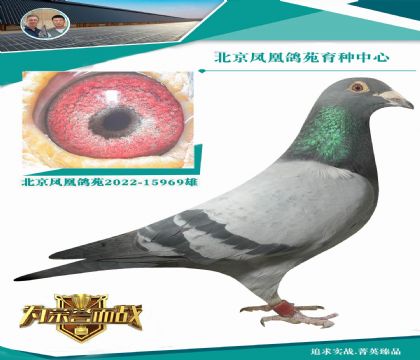 ���w�ȇ�����ֱ��X�����W�̖��Ư��Ī�ȡ�ֱŮ