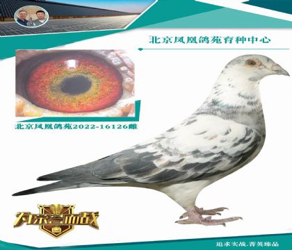 ֵ�Ó����@�ӵ��ٶȻ�