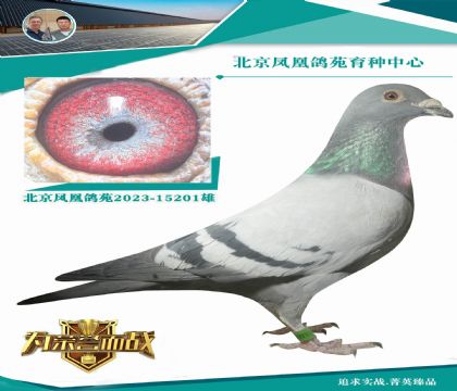 ��11�ꡰ���\848̖�� �����Ӵ�