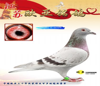 �t�w�Ƚ��H888X�t�w�Ƚ��H999��������