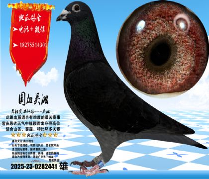 ��(gu��)Ѫ�������N���һ��ۣ������w����피�(j��)���N��