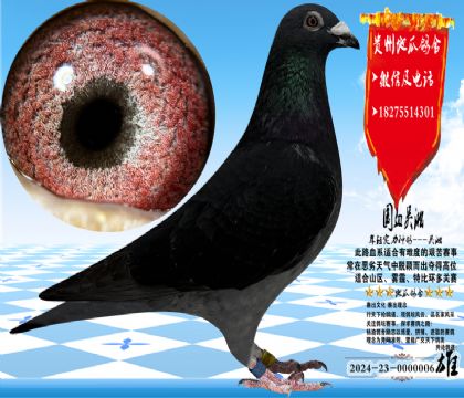 ��(gu��)Ѫ�������N��������һ��������N���h(hu��n)���^��(du��)��Ʒ