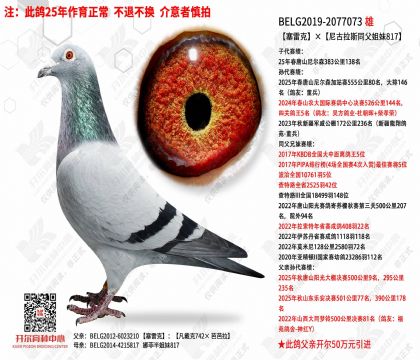 ���׿ˡ������˹ͬ������817