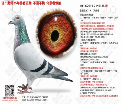 �ʼһҡ�����