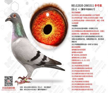 ���ˡ��ȷư����817