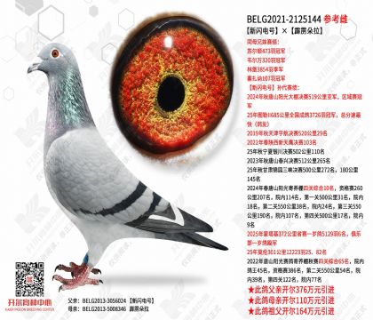 ������š���������