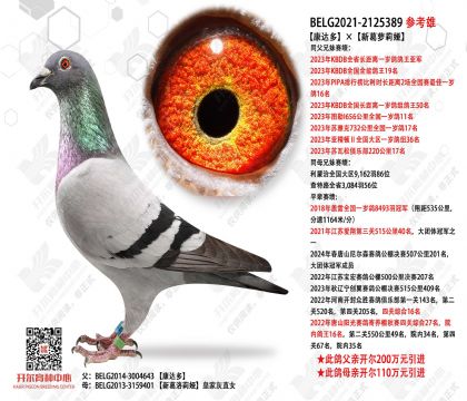 �������¸������