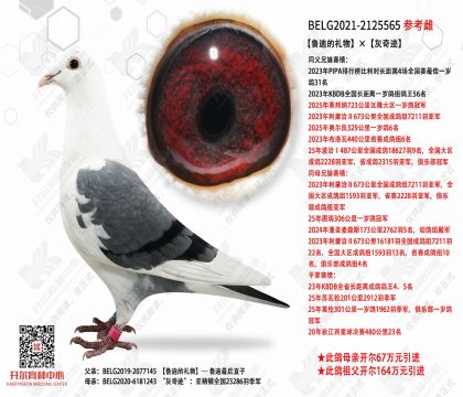 ³�ϵ���������漣