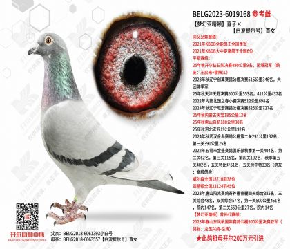 �λ��Ǿ���ֱ�ӡ��ײ������ֱŮ