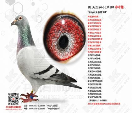 ������¬�˱�ѩ304��