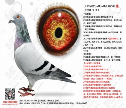 ��ƴ����ֱ��