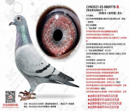 �ƽ��½�ķ887������������˵��ˡ�ֱŮ