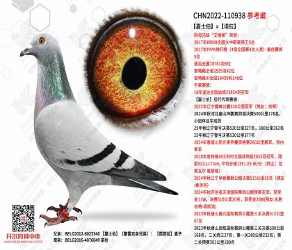 ��ʿ����ŵ��