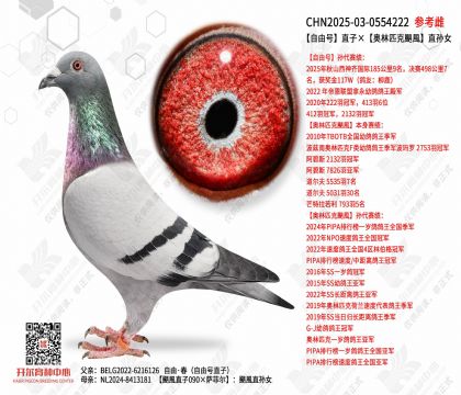 ���ɺ�ֱ�ӡ�����ƥ���Z�Lֱ��Ů