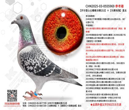 �������Ĺ��ﴺ����253������õ��ֱŮ