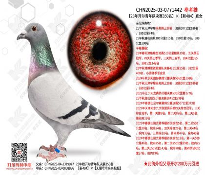 23�꿪������Ӿ���350������484ֱŮ