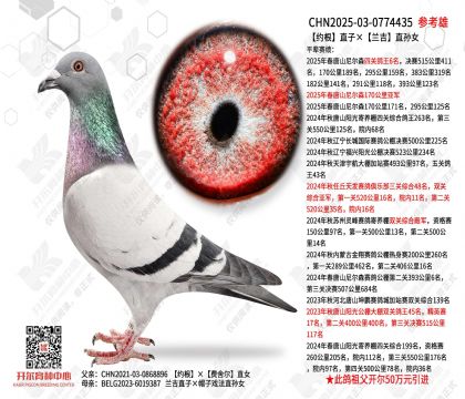 Լ��ֱ�ӡ�����ֱ��Ů