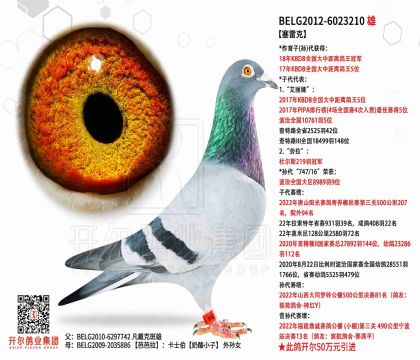 2����-6023210