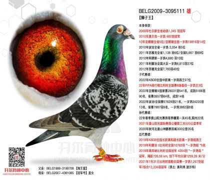 2����-3095111