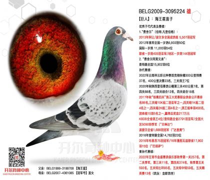 2����-3095224