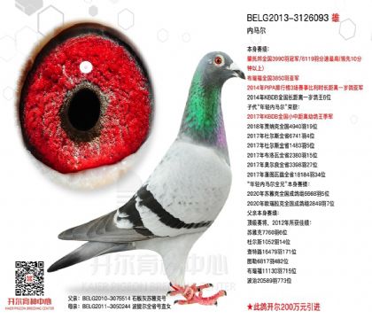 2����-3126093