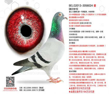 2����-3056024