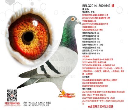 2����-3004643