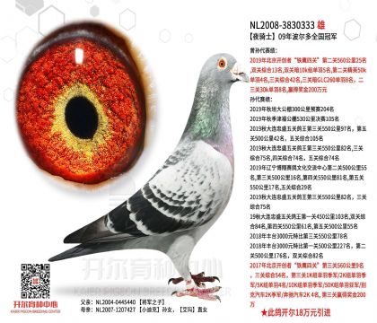 2����-3830333