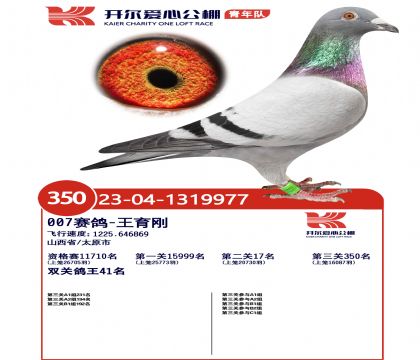 1����1319977