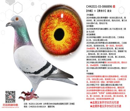 1����0868896