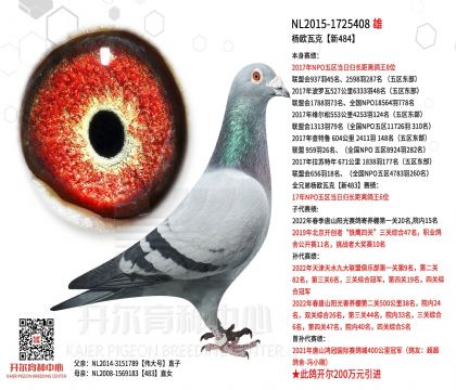 2���游˼-1725408