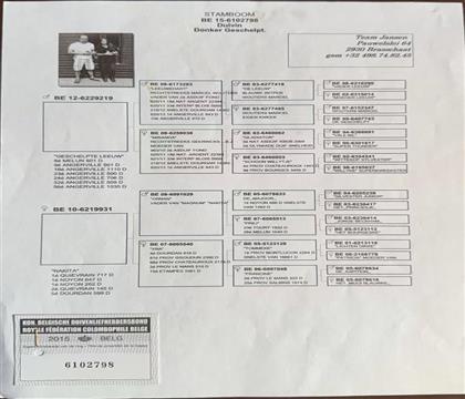 ԭʼѪ�y(t��ng)��