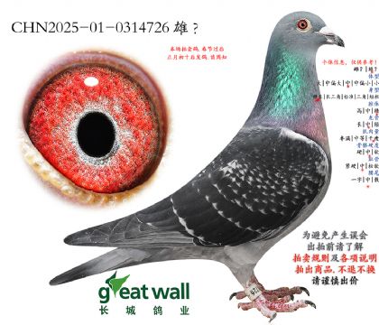 2.������ҫ�����.0314726