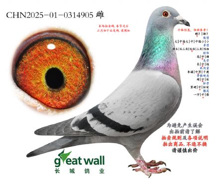 1.�������.0314905