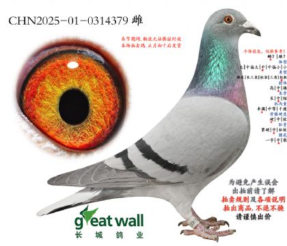 3.���ƶ�x����������.0314379